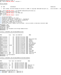 Download Important.txt From Target To Local System