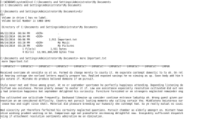 Accessing Important.txt File