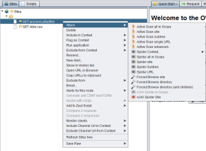 website vulnerability scanner kali